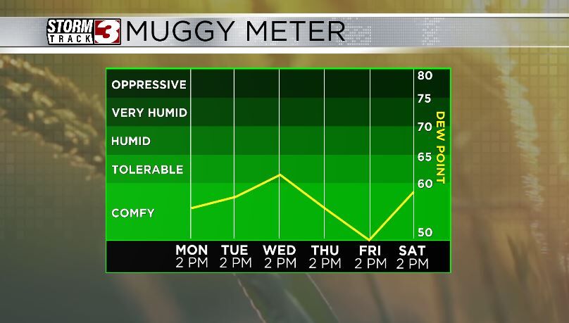 Muggy